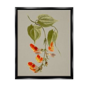 Stupell Industries Vine with Red Blossoms Botanical & Floral Painting Black Floater Framed Canvas Art Print Wall Art, 17 x 21