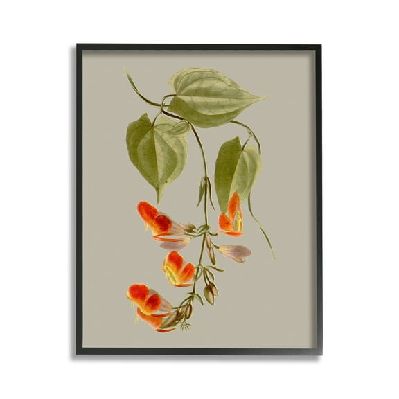 Stupell Industries Vine with Red Blossoms Botanical & Floral Painting Black Framed Art Print Wall Art, 11 x 14