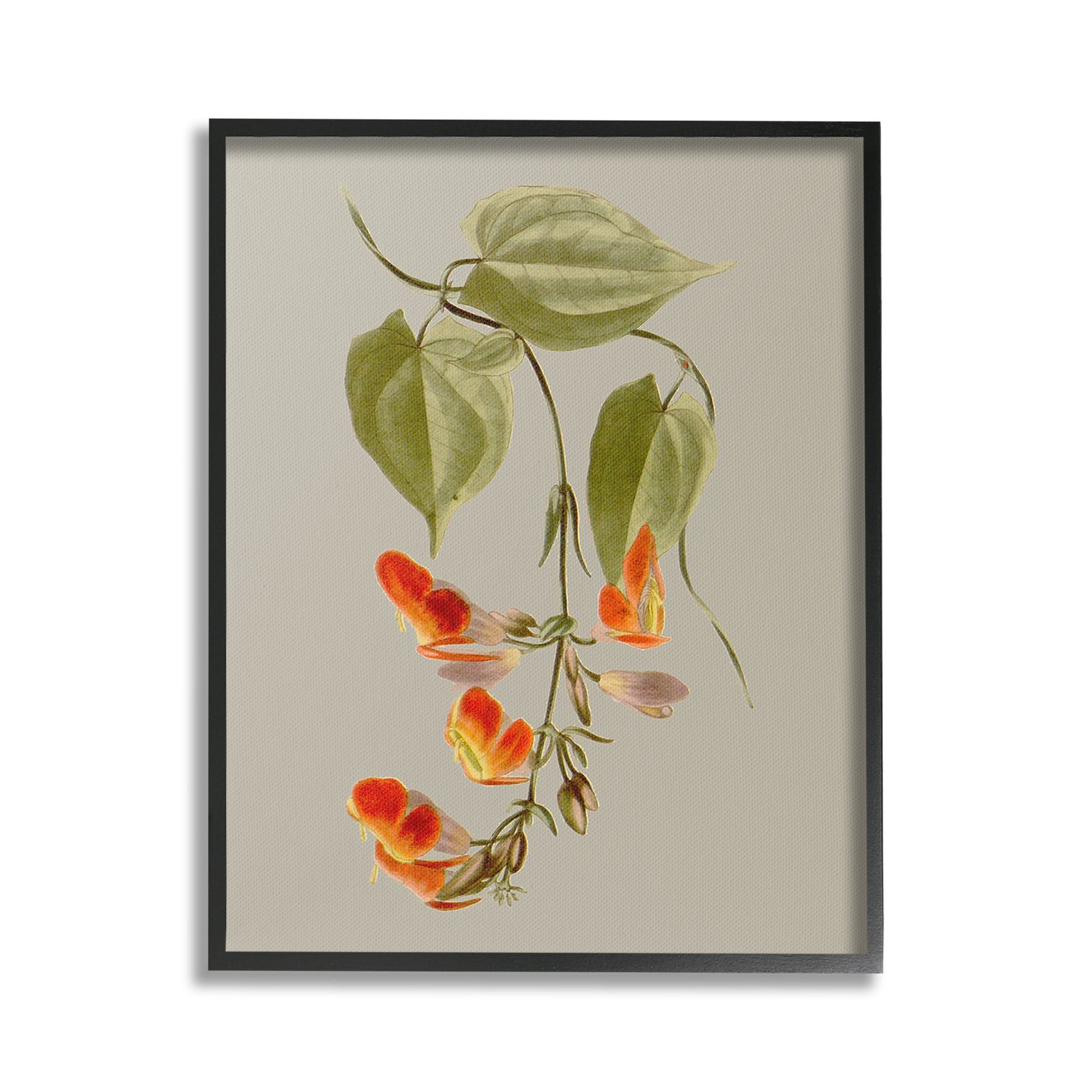 Stupell Industries Vine with Red Blossoms Botanical & Floral Painting Black Framed Art Print Wall Art, 24 x 30