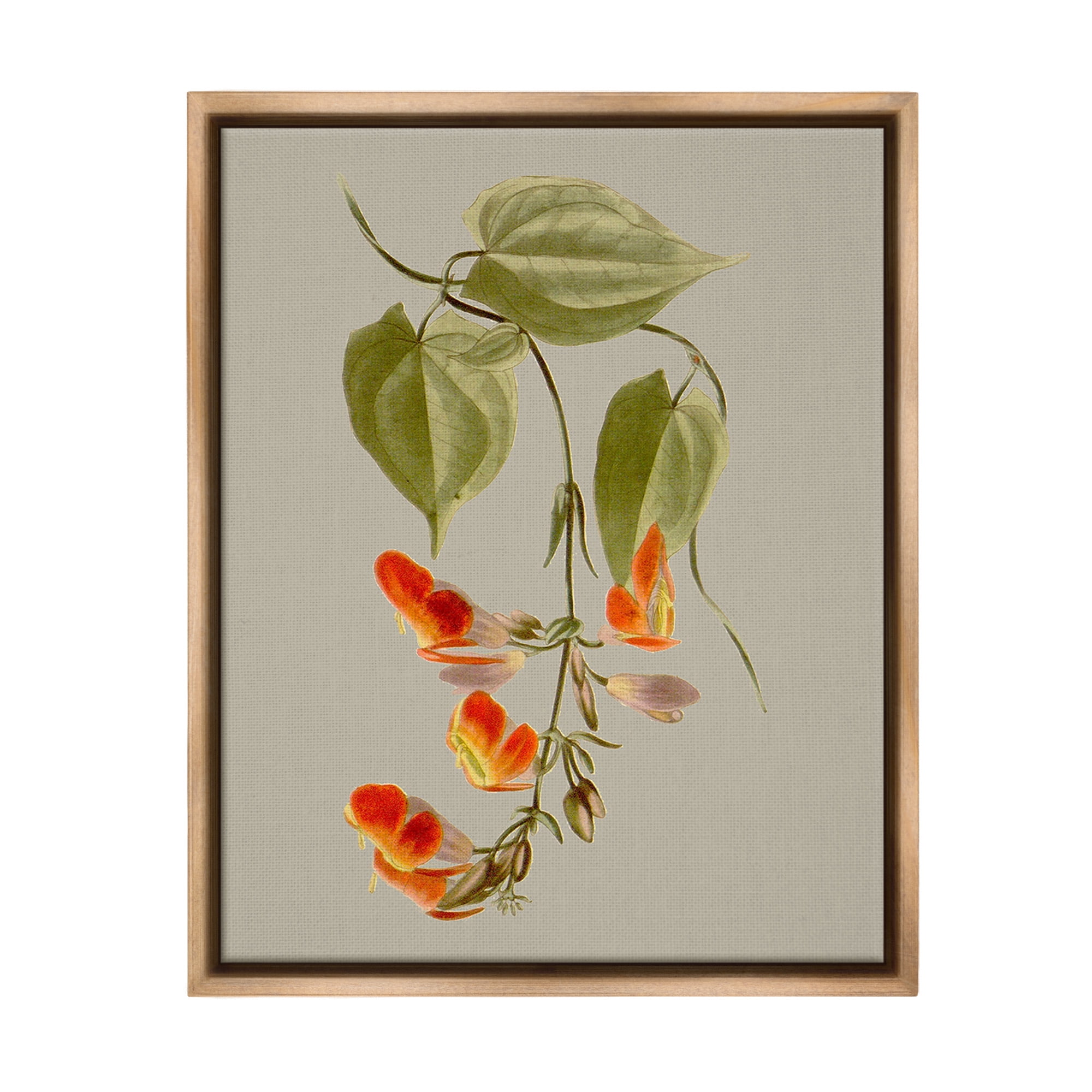 Stupell Industries Vine with Red Blossoms Botanical & Floral Painting Brown Floater Framed Canvas Art Print Wall Art, 17 x 21