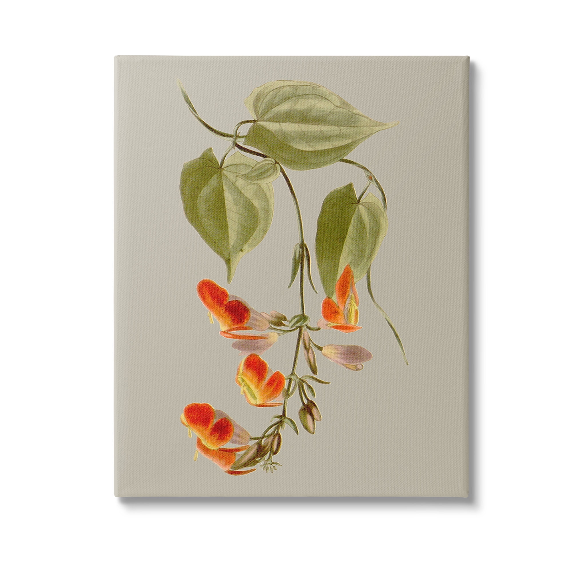 Stupell Industries Vine with Red Blossoms Botanical & Floral Painting Gallery Wrapped Canvas Art Print Wall Art, 24 x 30
