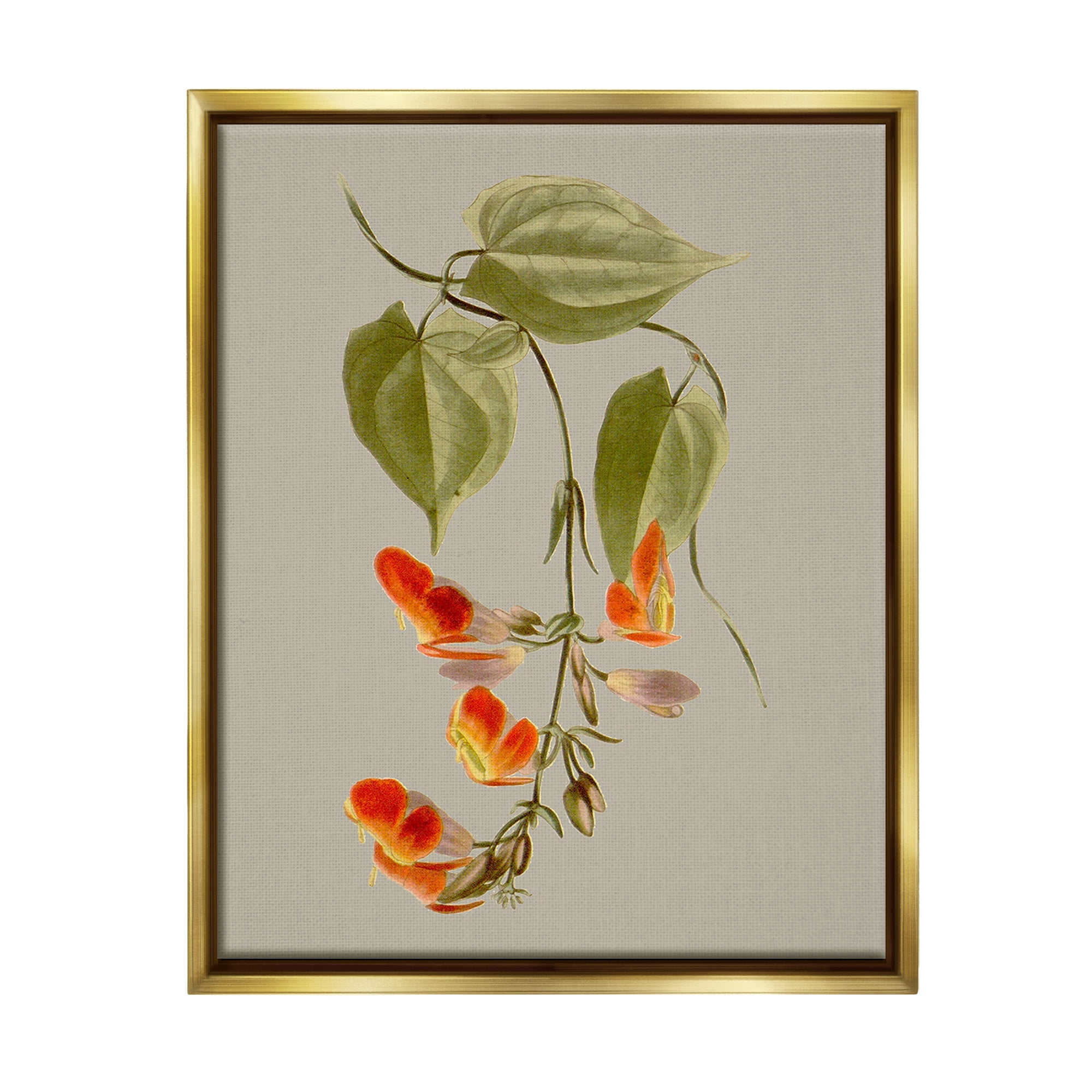 Stupell Industries Vine with Red Blossoms Botanical & Floral Painting Gold Floater Framed Canvas Art Print Wall Art, 17 x 21