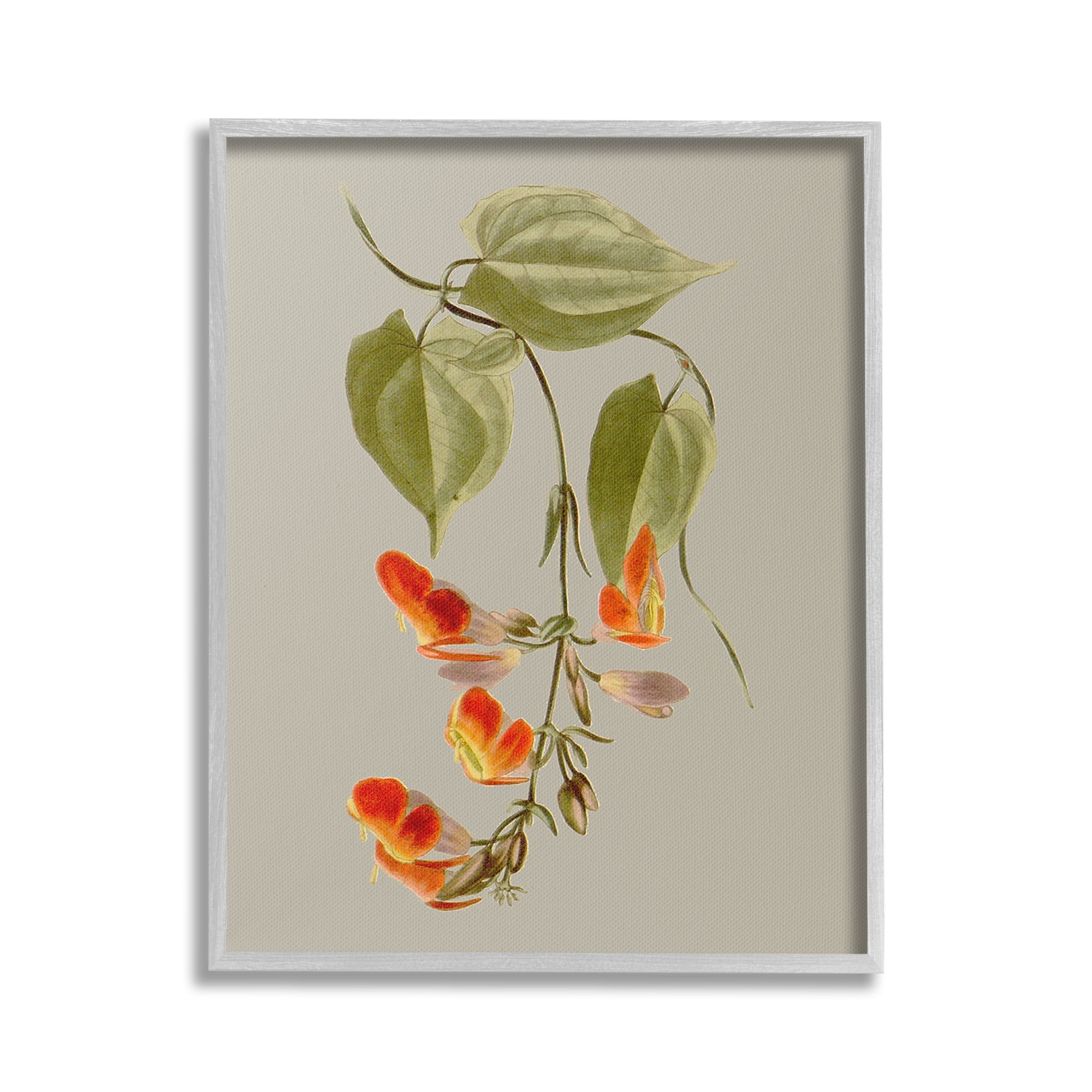 Stupell Industries Vine with Red Blossoms Botanical & Floral Painting Gray Framed Art Print Wall Art, 16 x 20
