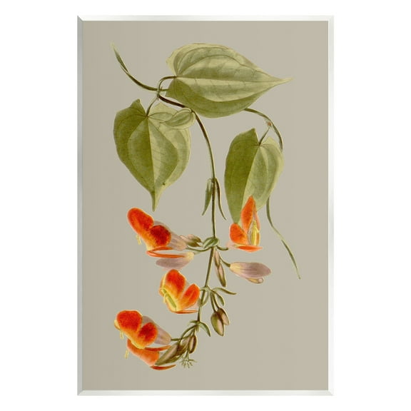 Stupell Industries Vine with Red Blossoms Botanical & Floral Painting Unframed Art Print Wall Art, 10 x 15