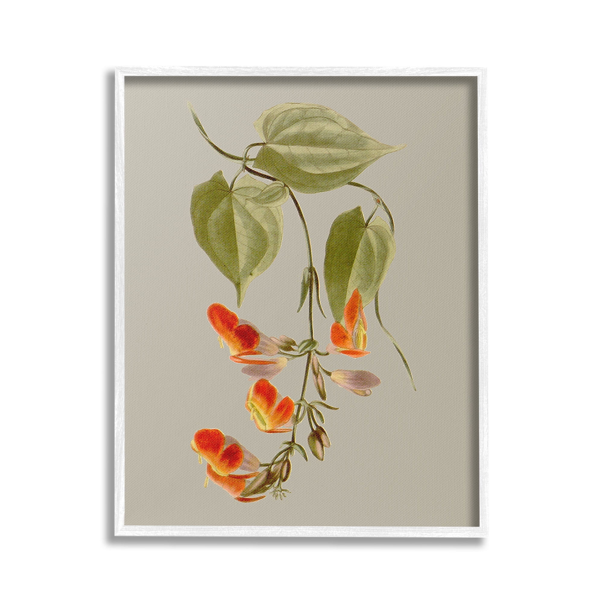 Stupell Industries Vine with Red Blossoms Botanical & Floral Painting White Framed Art Print Wall Art, 16 x 20