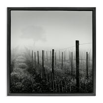 Stupell Industries Vineyard at Dawn Landscape & Nature Photography Black Floater Framed Canvas Art Print Wall Art, 18 x 18