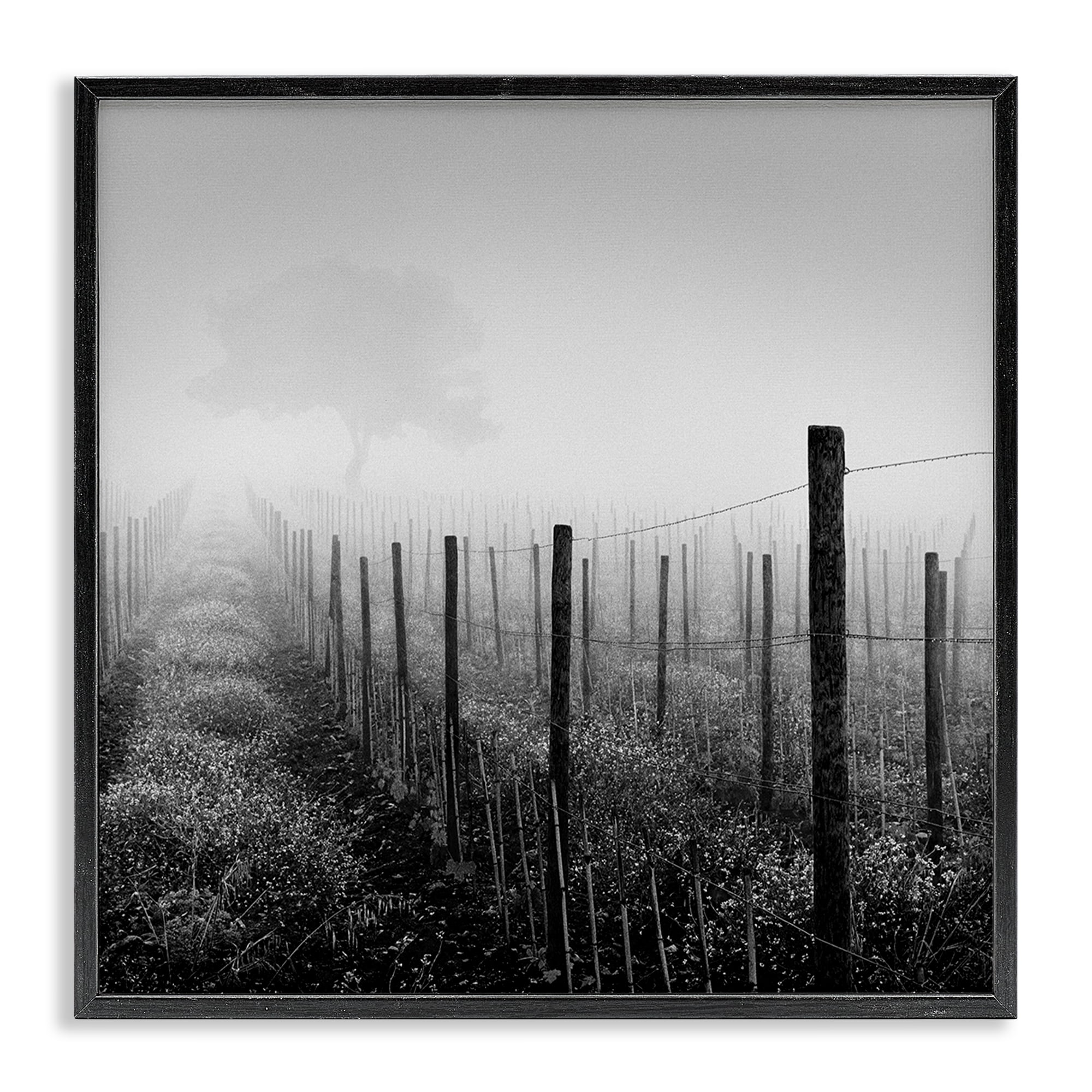 Stupell Industries Vineyard at Dawn Landscape & Nature Photography Black Framed Art Print Wall Art, 17 x 17