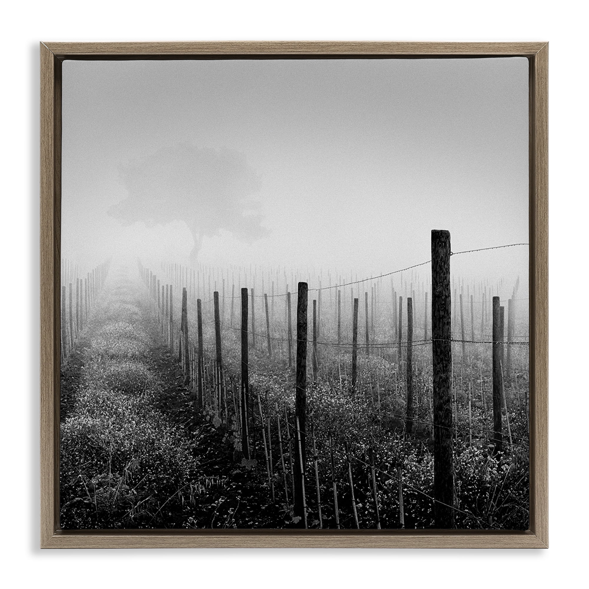 Stupell Industries Vineyard at Dawn Landscape & Nature Photography Brown Floater Framed Canvas Art Print Wall Art, 18 x 18