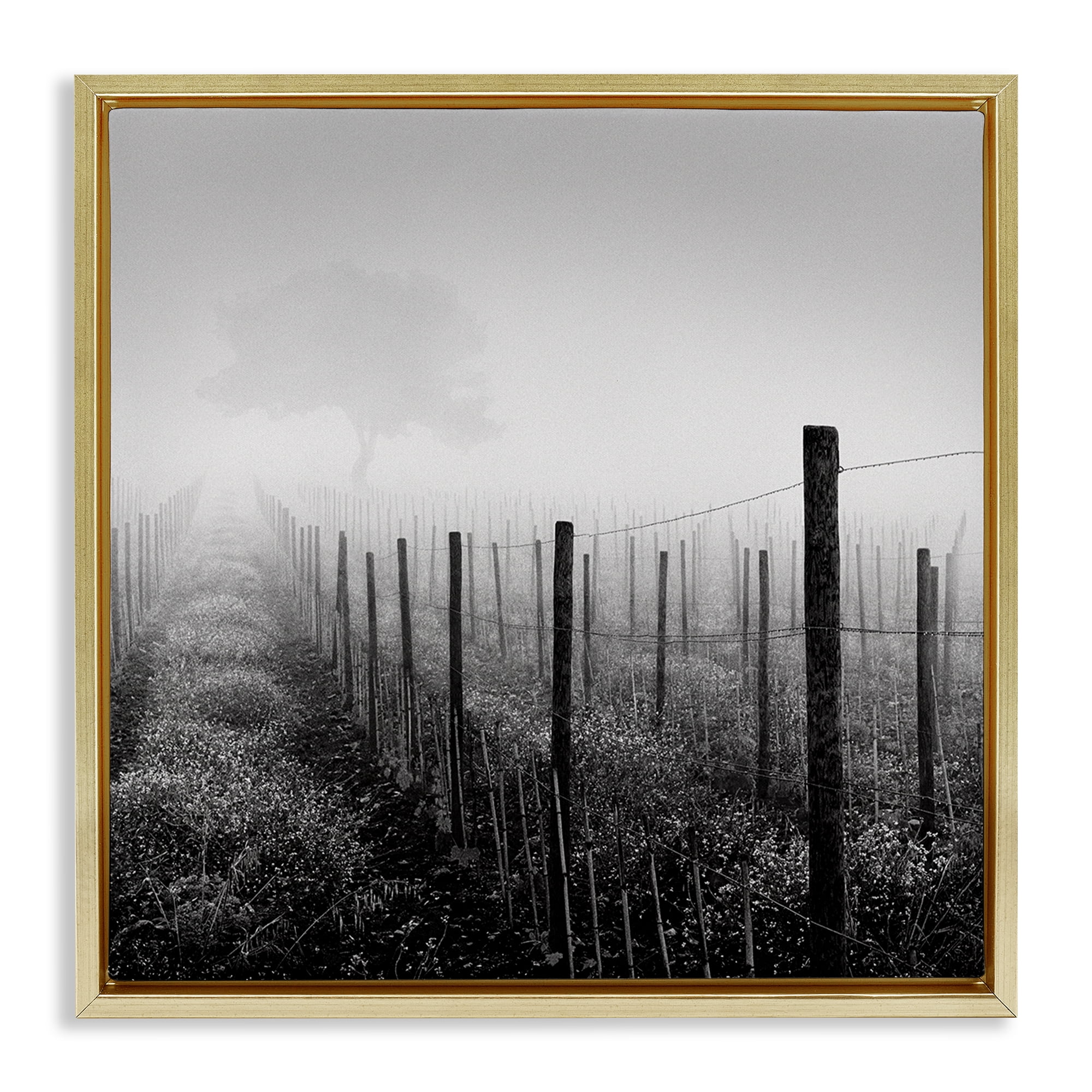 Stupell Industries Vineyard at Dawn Landscape & Nature Photography Gold Floater Framed Canvas Art Print Wall Art, 25 x 25