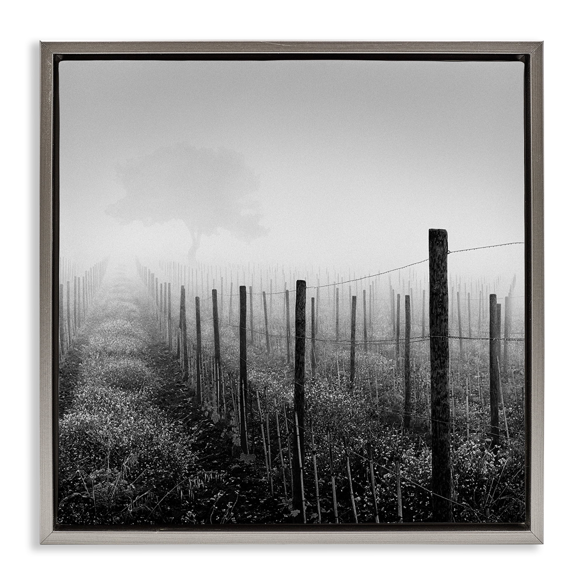Stupell Industries Vineyard at Dawn Landscape & Nature Photography Gray Floater Framed Canvas Art Print Wall Art, 18 x 18