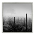 thumbnail image 1 of Stupell Industries Vineyard at Dawn Landscape & Nature Photography Gray Framed Art Print Wall Art, 24 x 24, 1 of 2