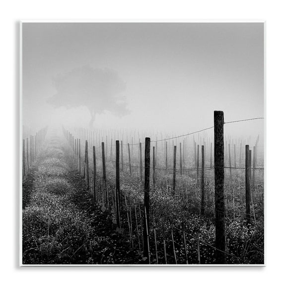 Stupell Industries Vineyard at Dawn Landscape & Nature Photography Unframed Art Print Wall Art, 12 x 12