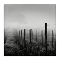 Stupell Industries Vineyard at Dawn Landscape & Nature Photography Wrapped Canvas Art Print Wall Art, 17 x 17