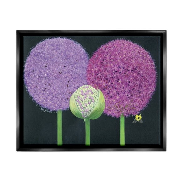 Stupell Industries Vintage Allium Plants Botanical & Floral Painting Black Floater Framed Art Print Wall Art, 21 x 17