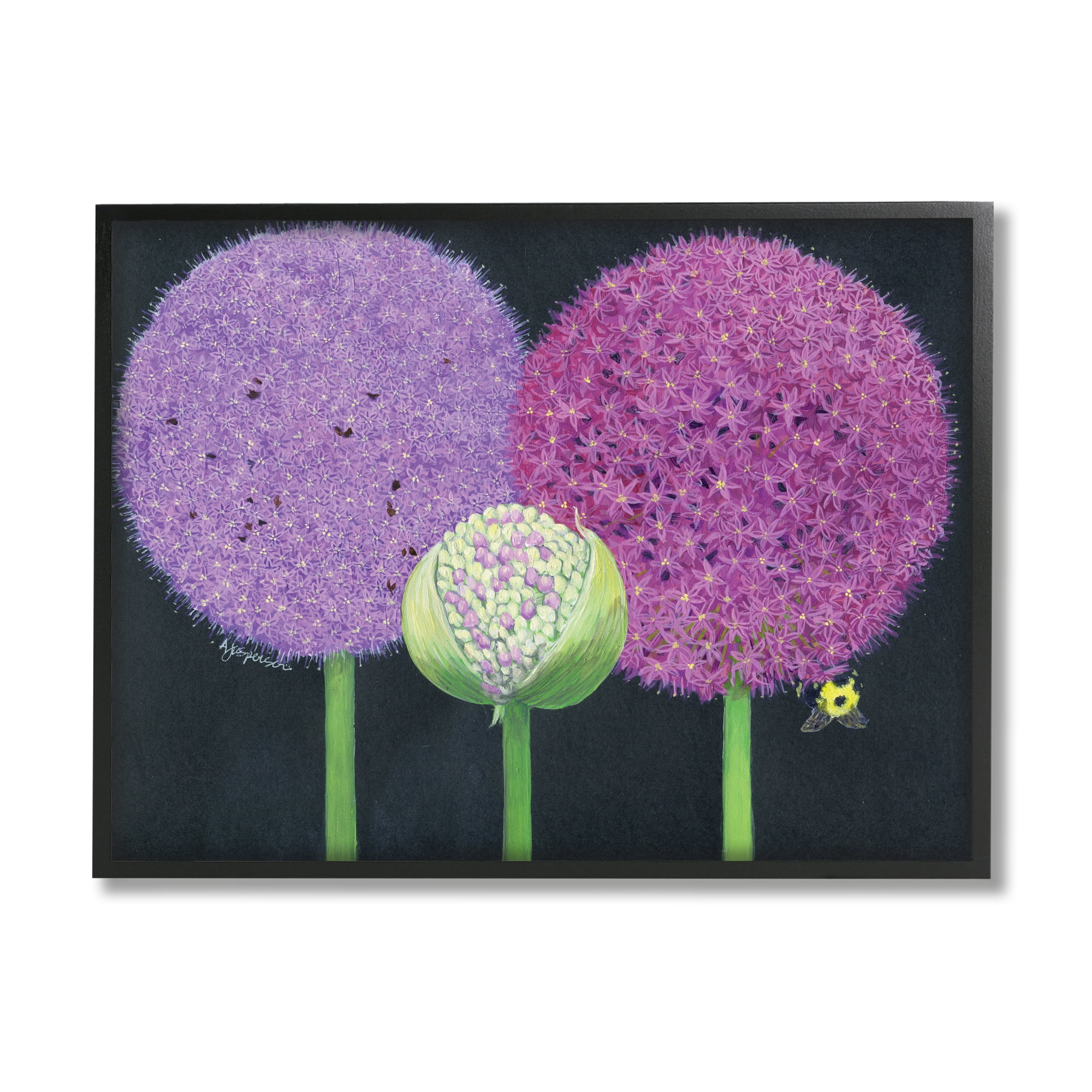 Stupell Industries Vintage Allium Plants Botanical & Floral Painting Black Framed Art Print Wall Art, 30 x 24