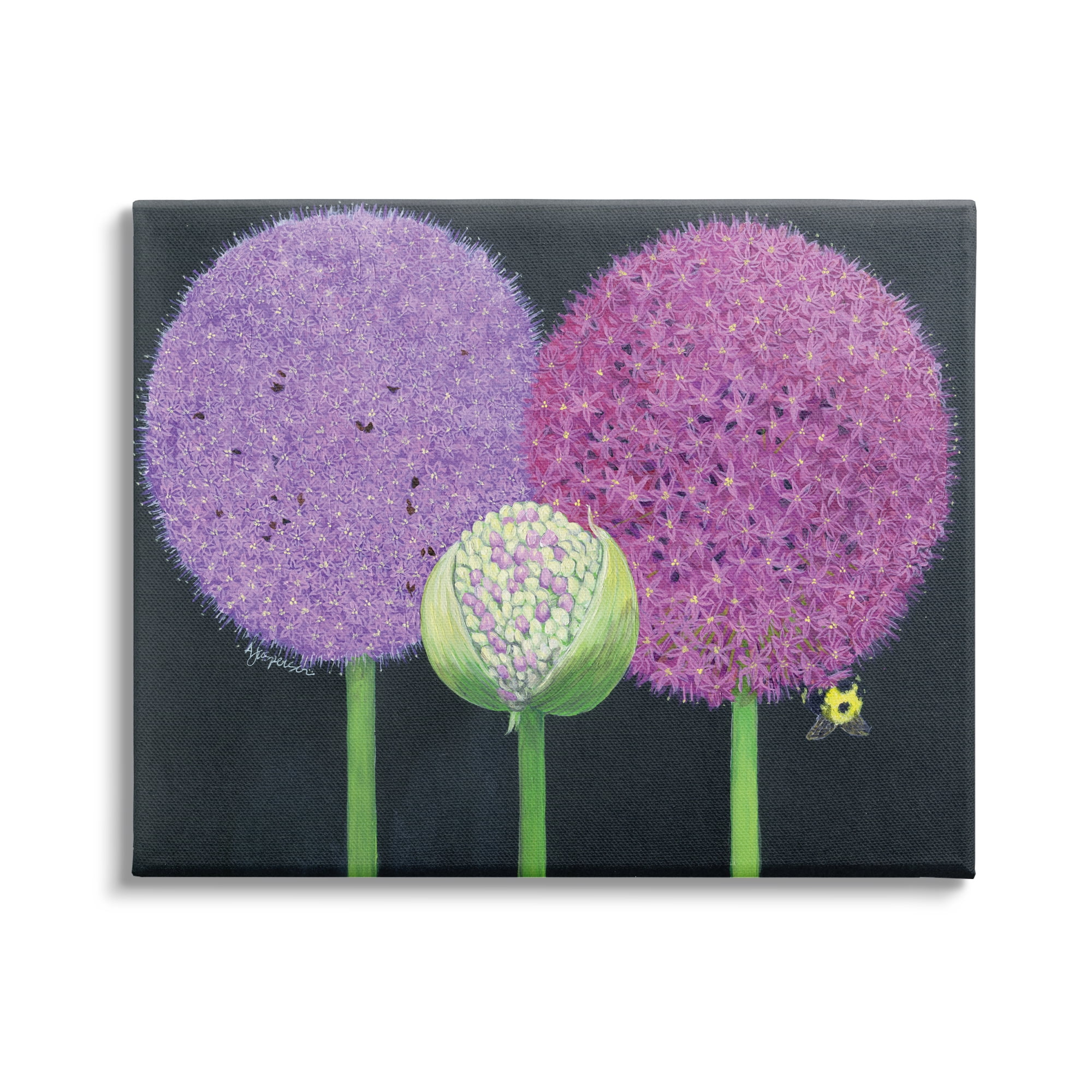 Stupell Industries Vintage Allium Plants Botanical & Floral Painting Gallery Wrapped Canvas Print Wall Art, 20 x 16