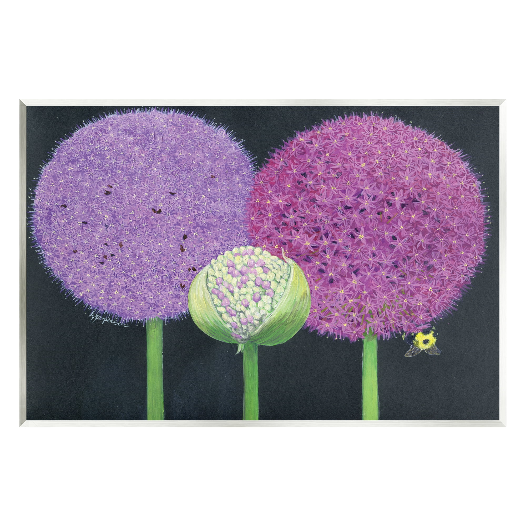Stupell Industries Vintage Allium Plants Botanical & Floral Painting Unframed Art Print Wall Art, 15 x 10