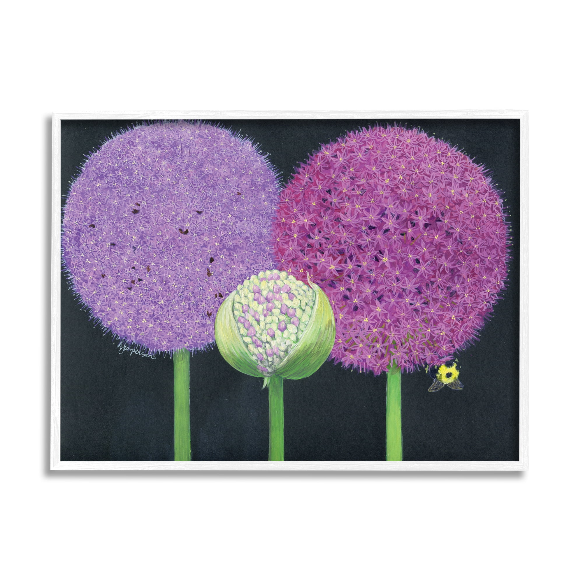 Stupell Industries Vintage Allium Plants Botanical & Floral Painting White Framed Art Print Wall Art, 30 x 24