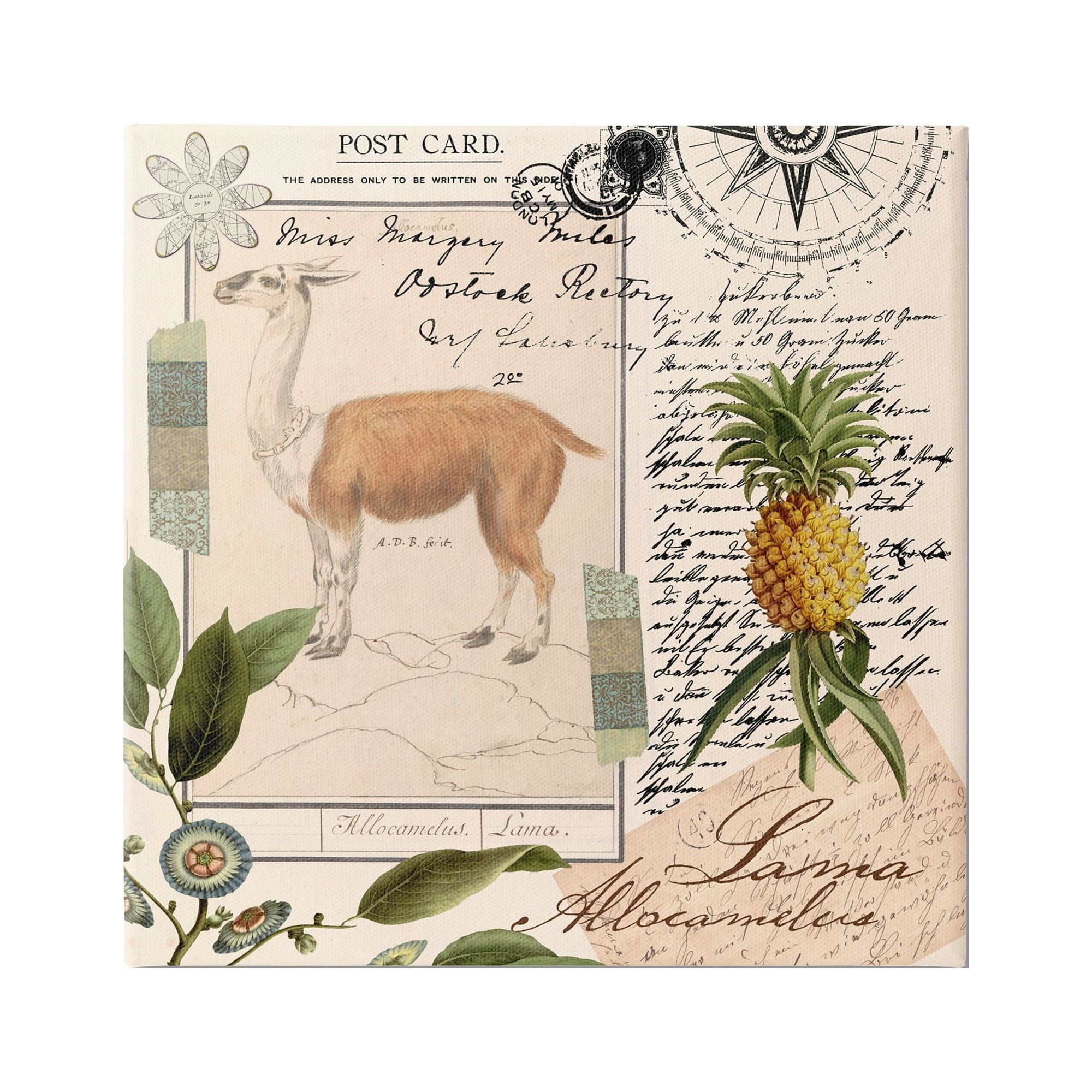Stupell Industries Vintage Antelope Postcard Animals & Insects Painting Gallery Wrapped Canvas Art Print Wall Art, 36 x 36