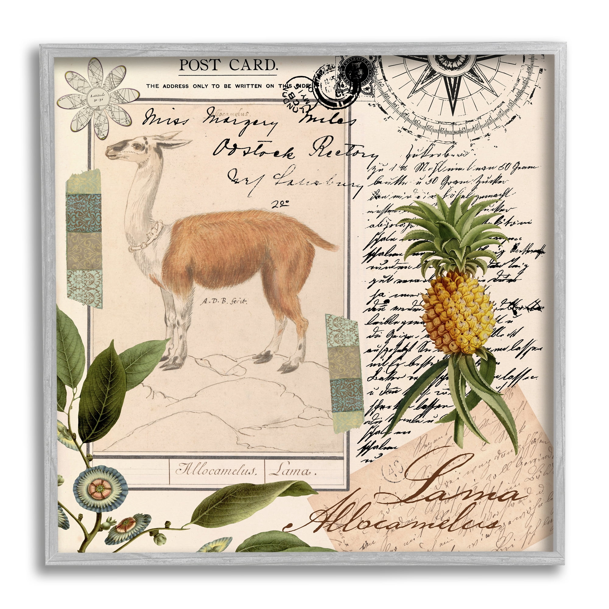 Stupell Industries Vintage Antelope Postcard Animals & Insects Painting Gray Framed Art Print Wall Art, 24 x 24