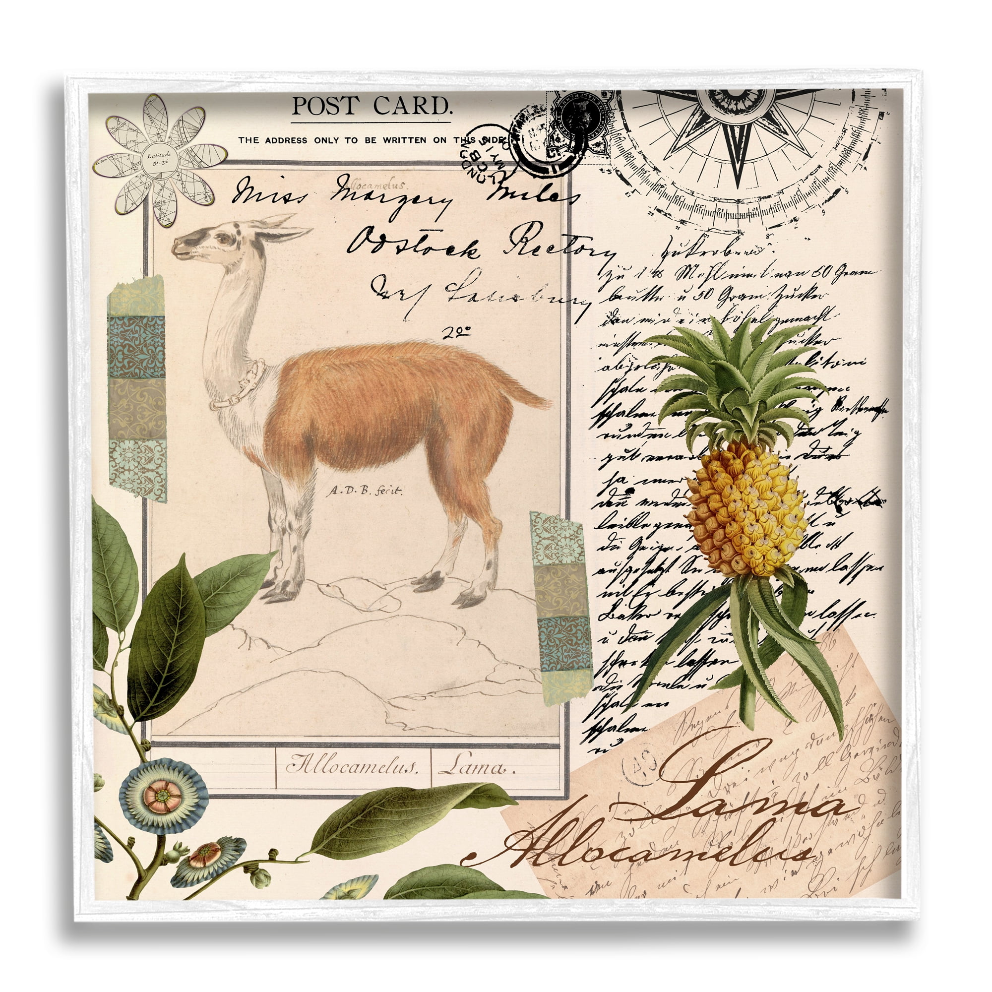 Stupell Industries Vintage Antelope Postcard Animals & Insects Painting White Framed Art Print Wall Art, 12 x 12