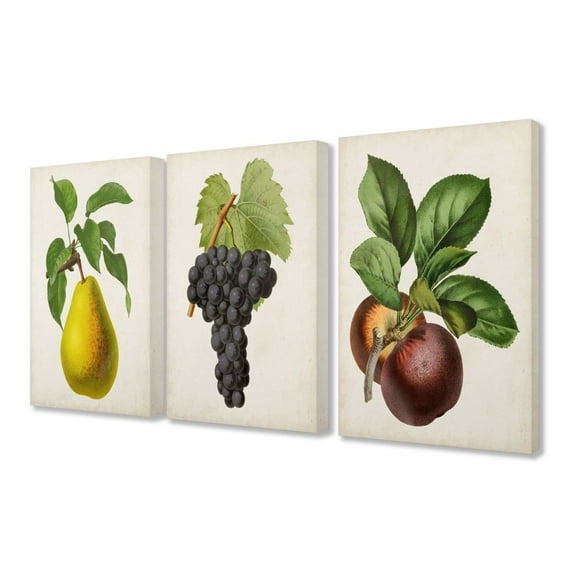 Stupell Industries Vintage Antique Fruits Kitchen Dining Room Painting Design 3pc Canvas Art Set by Vision Studio