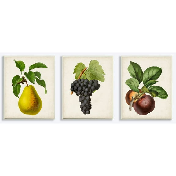 Stupell Industries Vintage Antique Fruits Kitchen Dining Room Painting Design 3pc Wall Plaque Art Set by Vision Studio