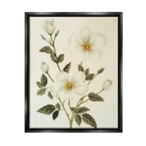 Stupell Industries Vintage Apple Blossoms Botanical & Floral Painting Black Floater Framed Canvas Art Print Wall Art, 17 x 21