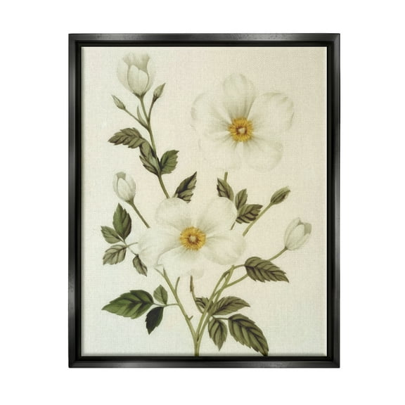 Stupell Industries Vintage Apple Blossoms Botanical & Floral Painting Black Floater Framed Canvas Art Print Wall Art, 17 x 21