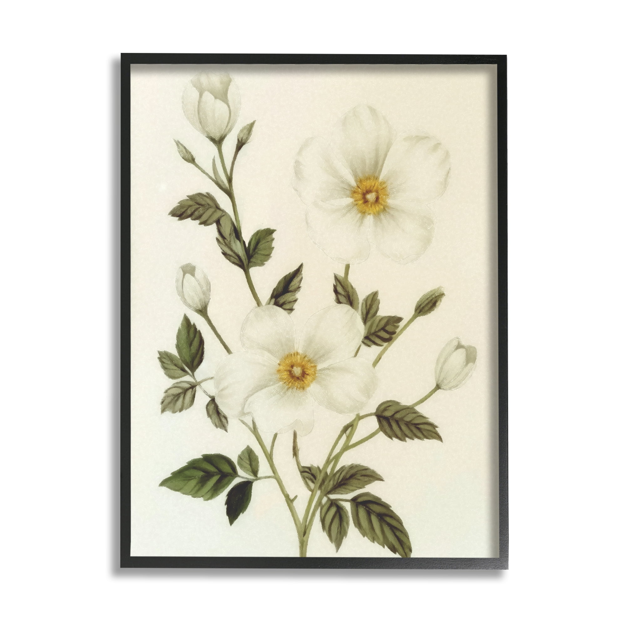 Stupell Industries Vintage Apple Blossoms Botanical & Floral Painting Black Framed Art Print Wall Art, 24 x 30