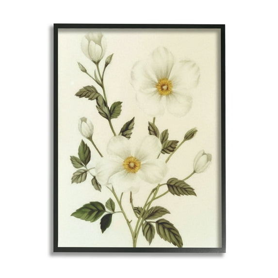 Stupell Industries Vintage Apple Blossoms Botanical & Floral Painting Black Framed Art Print Wall Art, 24 x 30