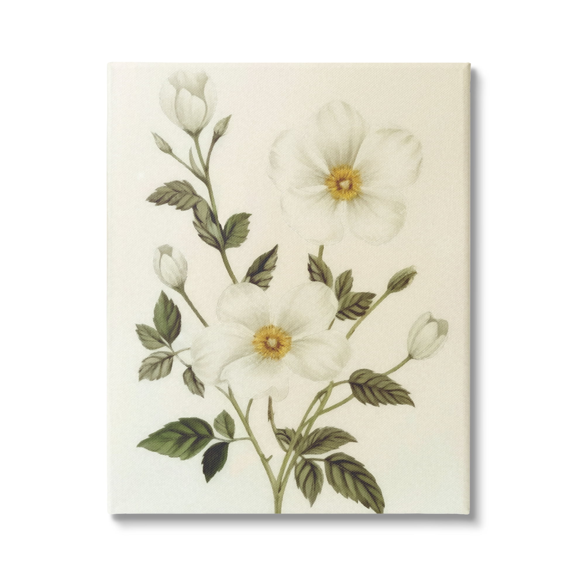 Stupell Industries Vintage Apple Blossoms Botanical & Floral Painting Gallery Wrapped Canvas Art Print Wall Art, 24 x 30