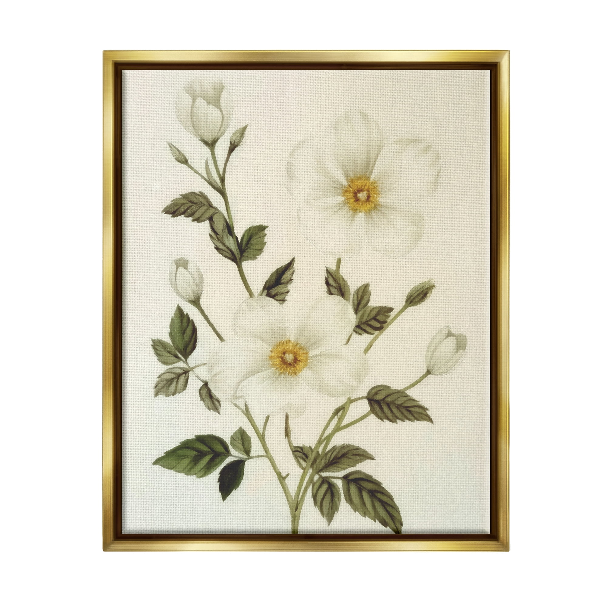 Stupell Industries Vintage Apple Blossoms Botanical & Floral Painting Gold Floater Framed Canvas Art Print Wall Art, 25 x 31