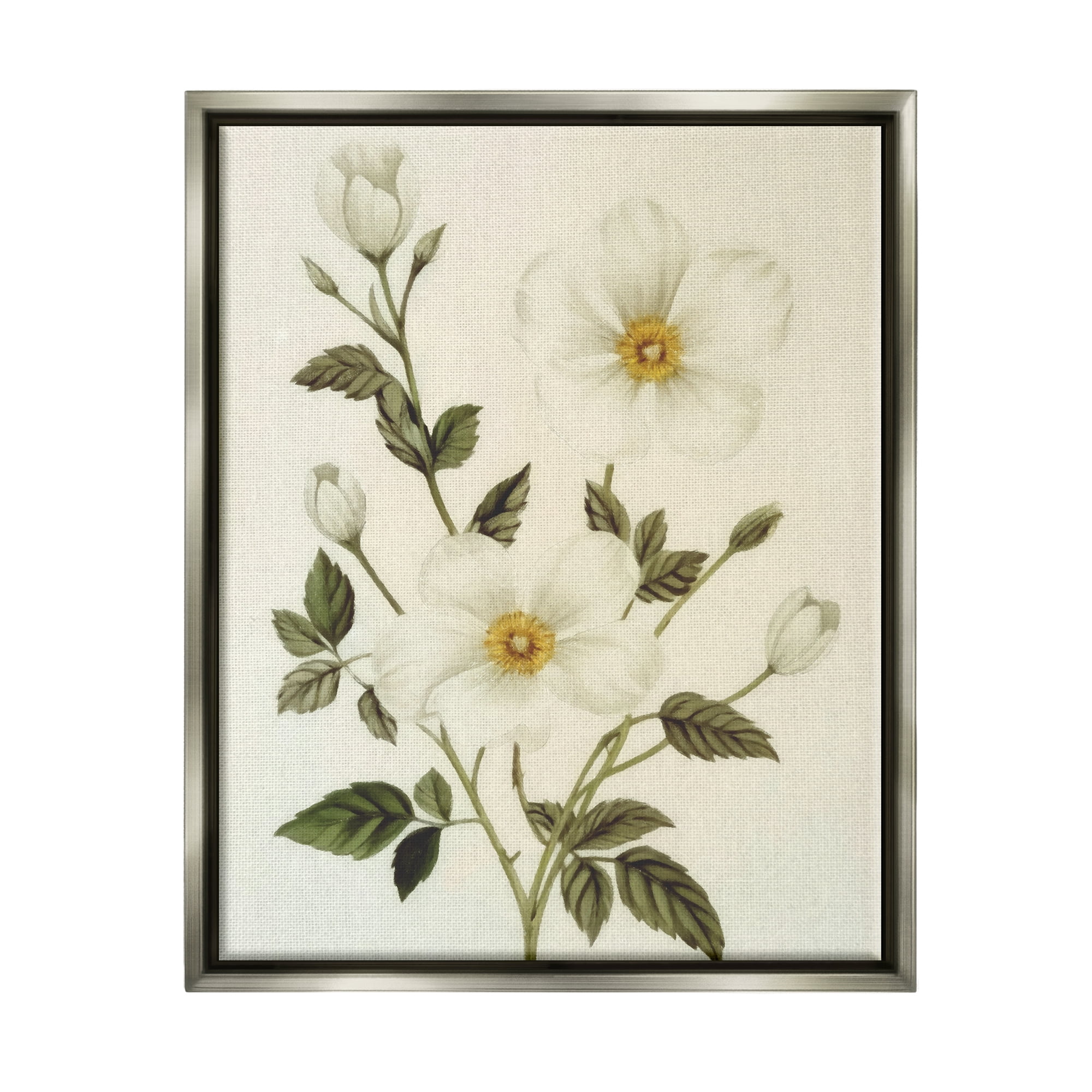 Stupell Industries Vintage Apple Blossoms Botanical & Floral Painting Gray Floater Framed Canvas Art Print Wall Art, 25 x 31