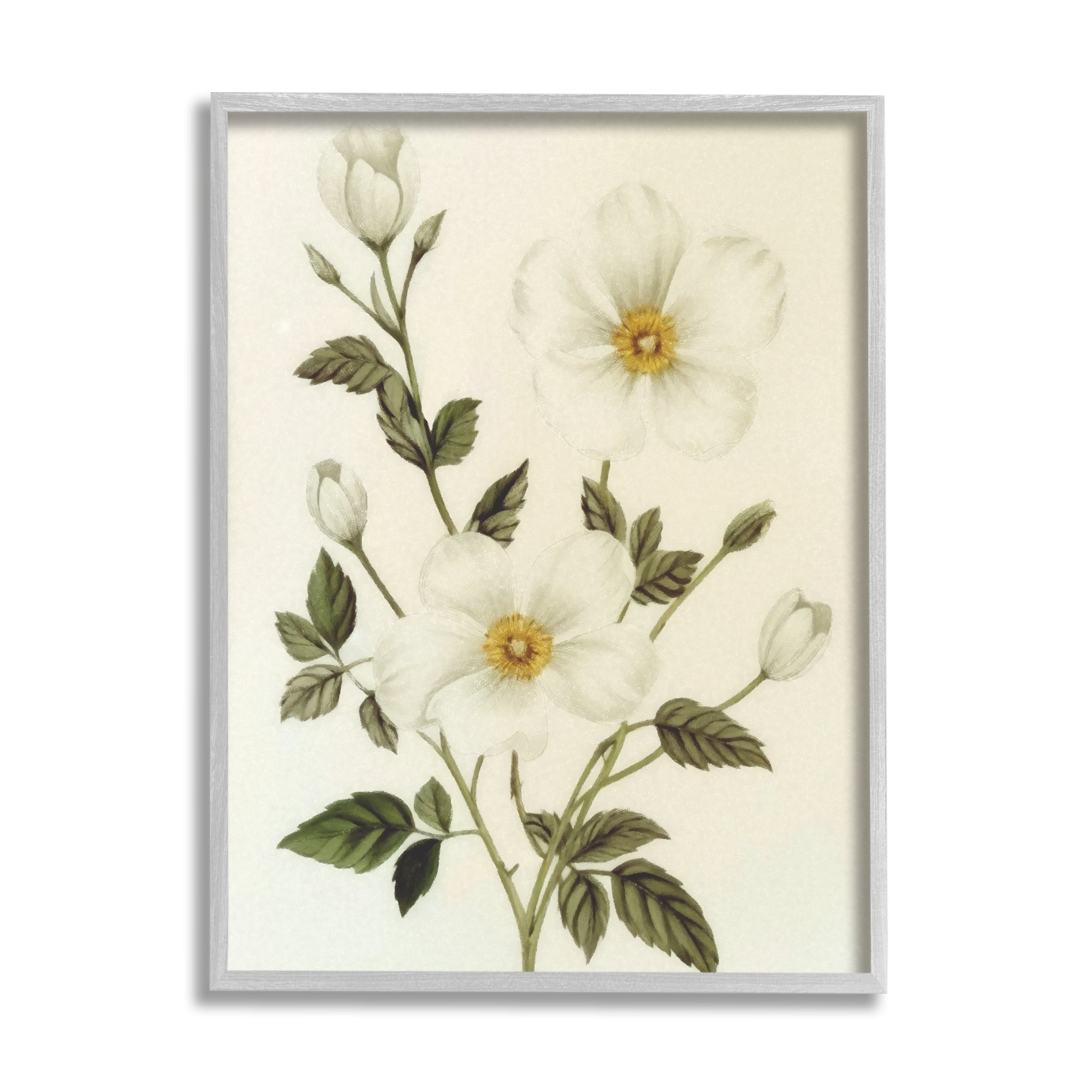 Stupell Industries Vintage Apple Blossoms Botanical & Floral Painting Gray Framed Art Print Wall Art, 11 x 14