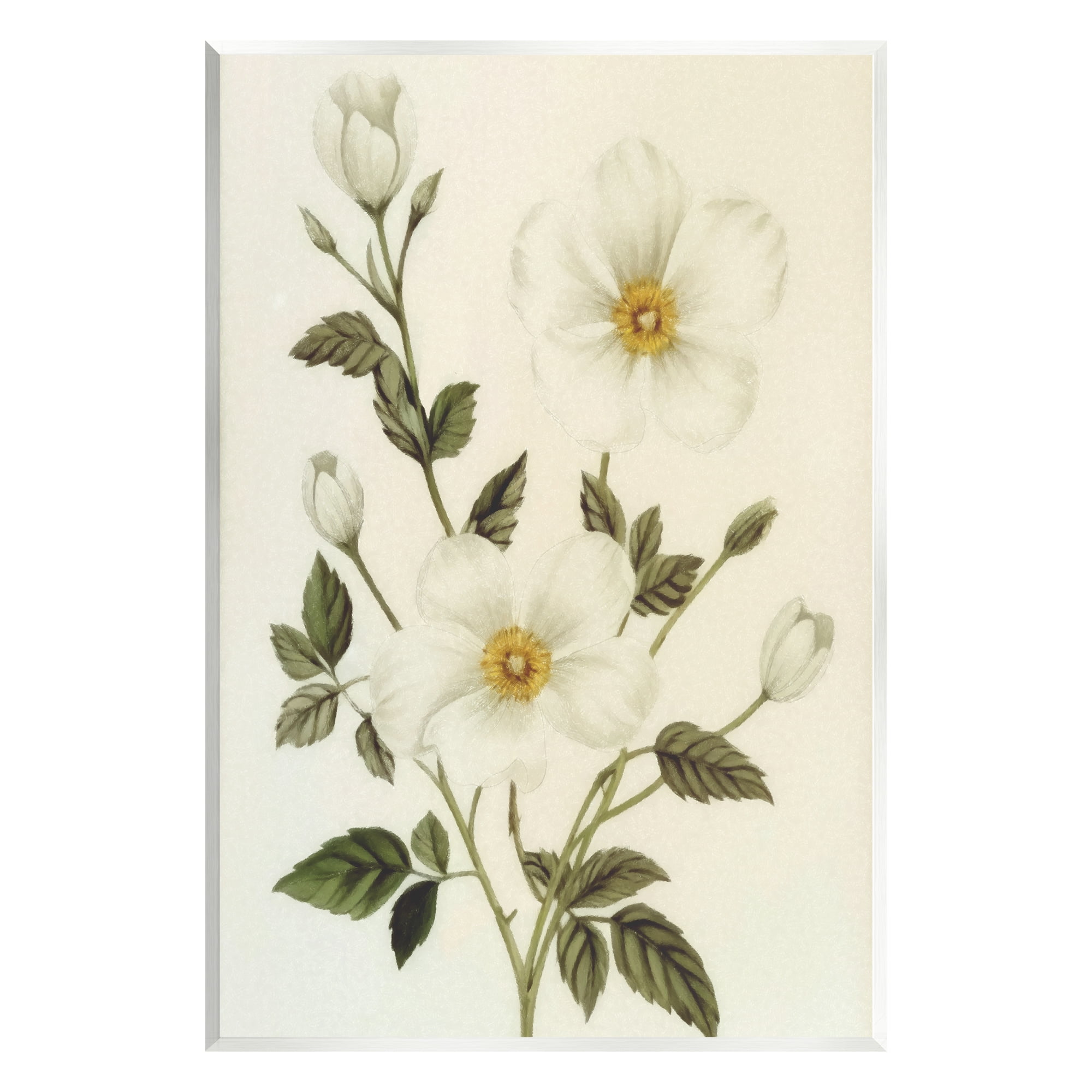 Stupell Industries Vintage Apple Blossoms Botanical & Floral Painting Unframed Art Print Wall Art, 10 x 15