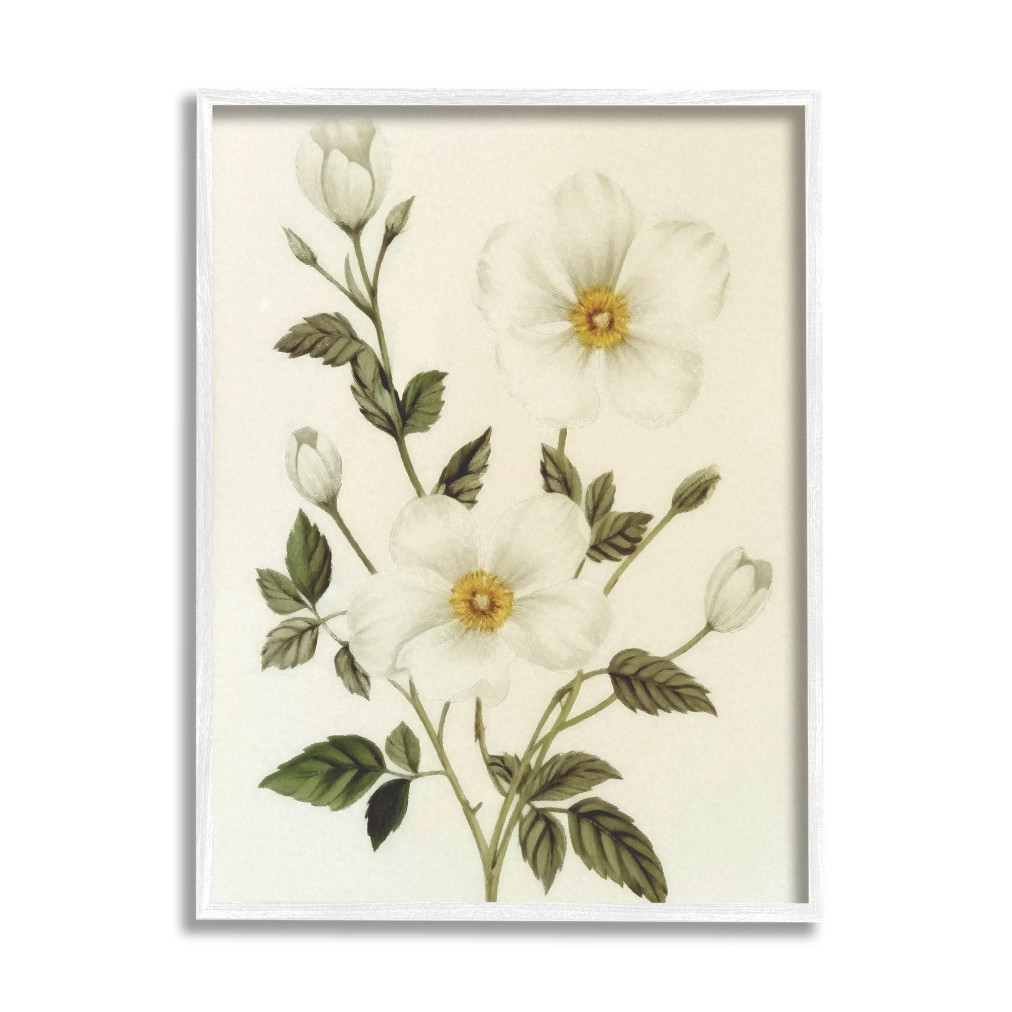 Stupell Industries Vintage Apple Blossoms Botanical & Floral Painting White Framed Art Print Wall Art, 16 x 20