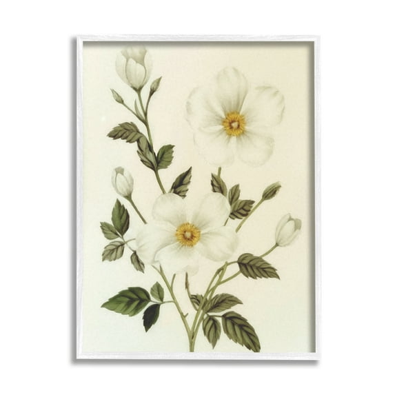 Stupell Industries Vintage Apple Blossoms Botanical & Floral Painting White Framed Art Print Wall Art, 24 x 30