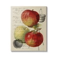 thumbnail image 1 of Stupell Industries Vintage Apple Picking Illustration Antique Text Passage, 24 x 30,Design by Daphne Polselli, 1 of 5
