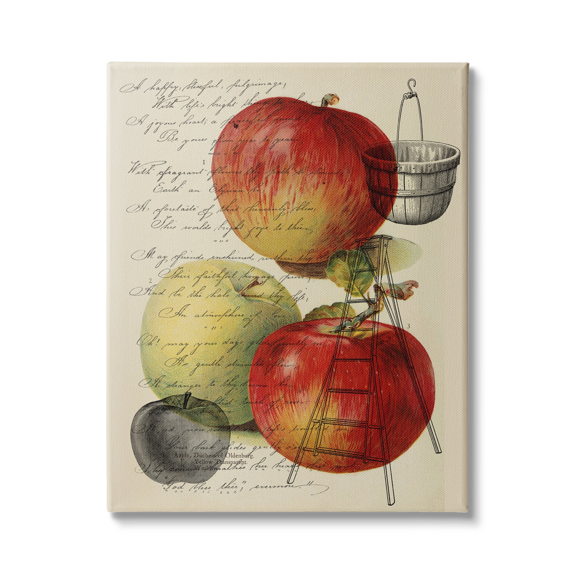 Stupell Industries Vintage Apple Picking Illustration Antique Text Passage, 30 x 40,Design by Daphne Polselli