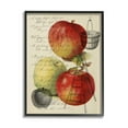 thumbnail image 1 of Stupell Industries Vintage Apple Picking Illustration Antique Text Passage Graphic Art Black Framed Art Print Wall Art, 24x30, by Daphne Polselli, 1 of 5