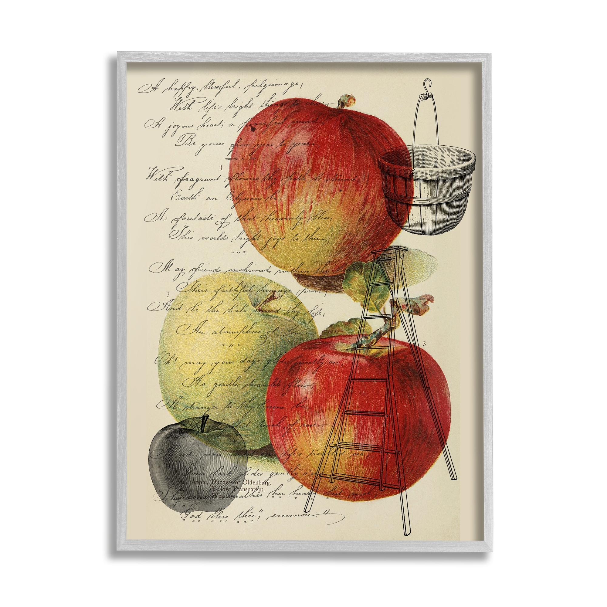 Stupell Industries Vintage Apple Picking Illustration Antique Text Passage Graphic Art Gray Framed Art Print Wall Art, 16x20, by Daphne Polselli