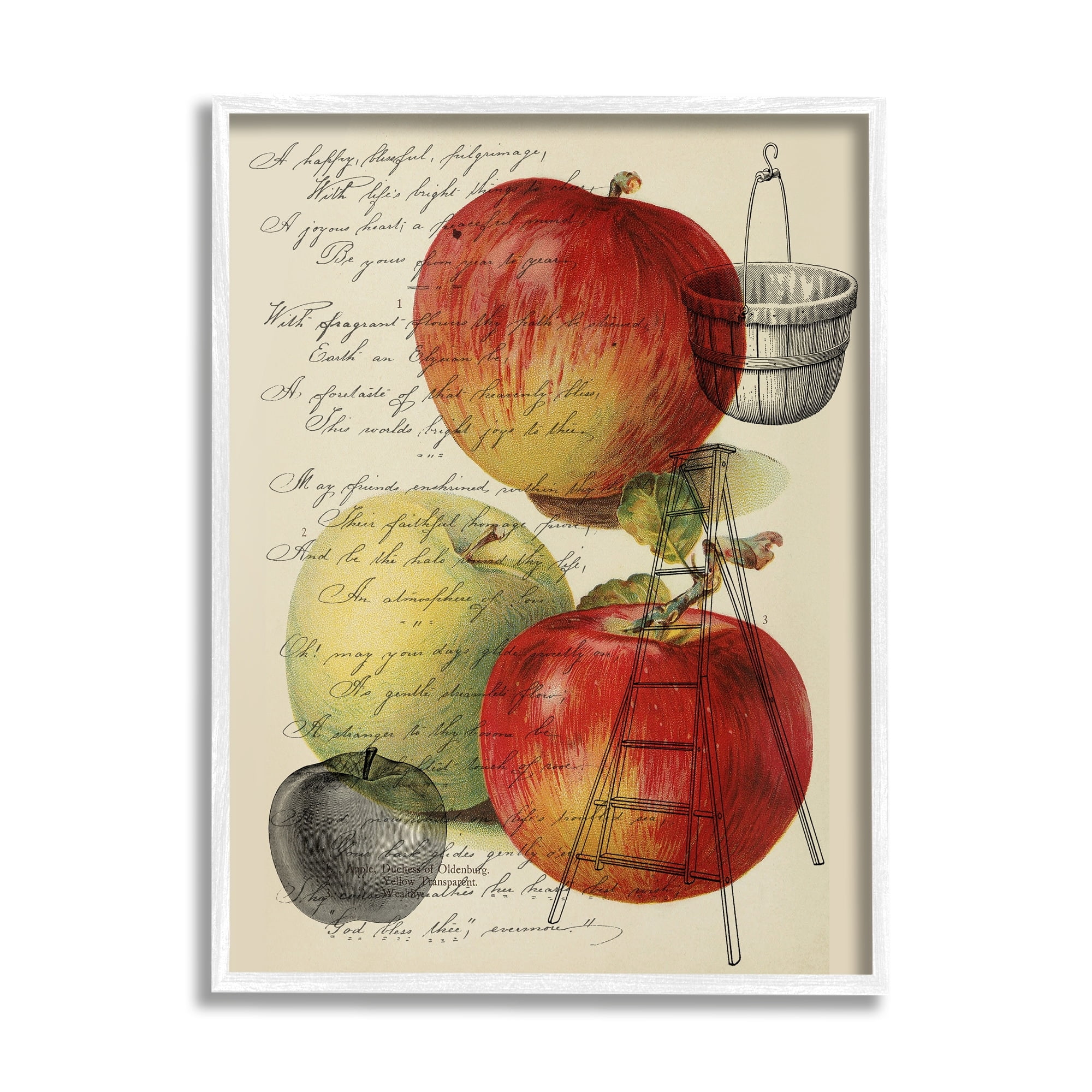 Stupell Industries Vintage Apple Picking Illustration Antique Text Passage Graphic Art White Framed Art Print Wall Art, 11x14, by Daphne Polselli