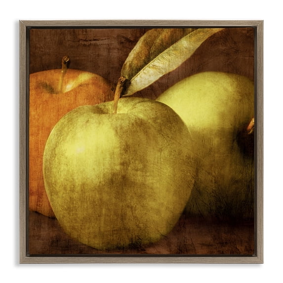 Stupell Industries Vintage Apples Close Up Food & Beverage Painting Brown Floater Framed Canvas Art Print Wall Art, 18 x 18