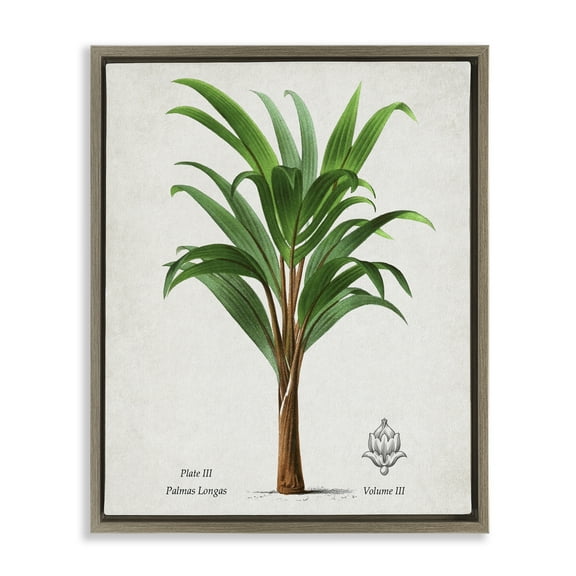 Stupell Industries Vintage Banana Leaf Palm Brown Framed Floater Canvas Wall Art design by Val Rhodes, 31 x 25