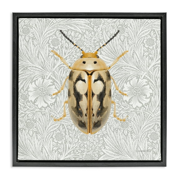 Stupell Industries Vintage Beetle Floral Pattern Animals & Insects Painting Black Floater Framed Canvas Art Print Wall Art, 18 x 18