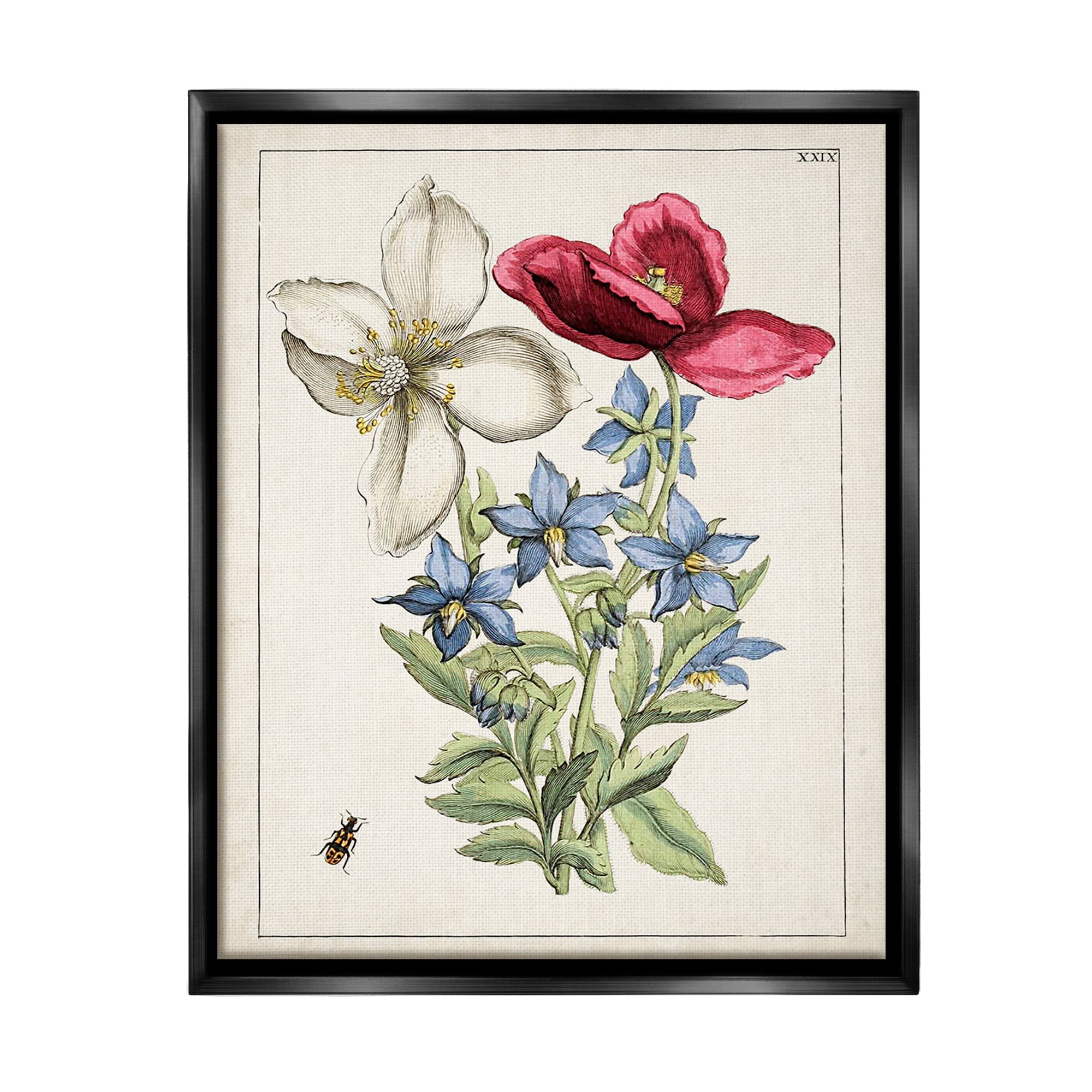 Stupell Industries Vintage Beetle & Flowers Botanical & Floral Painting Black Floater Framed Canvas Art Print Wall Art, 25 x 31