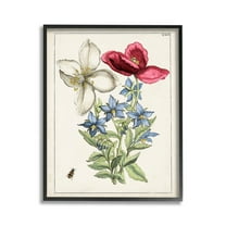 Stupell Industries Vintage Beetle & Flowers Botanical & Floral Painting Black Framed Art Print Wall Art, 11 x 14