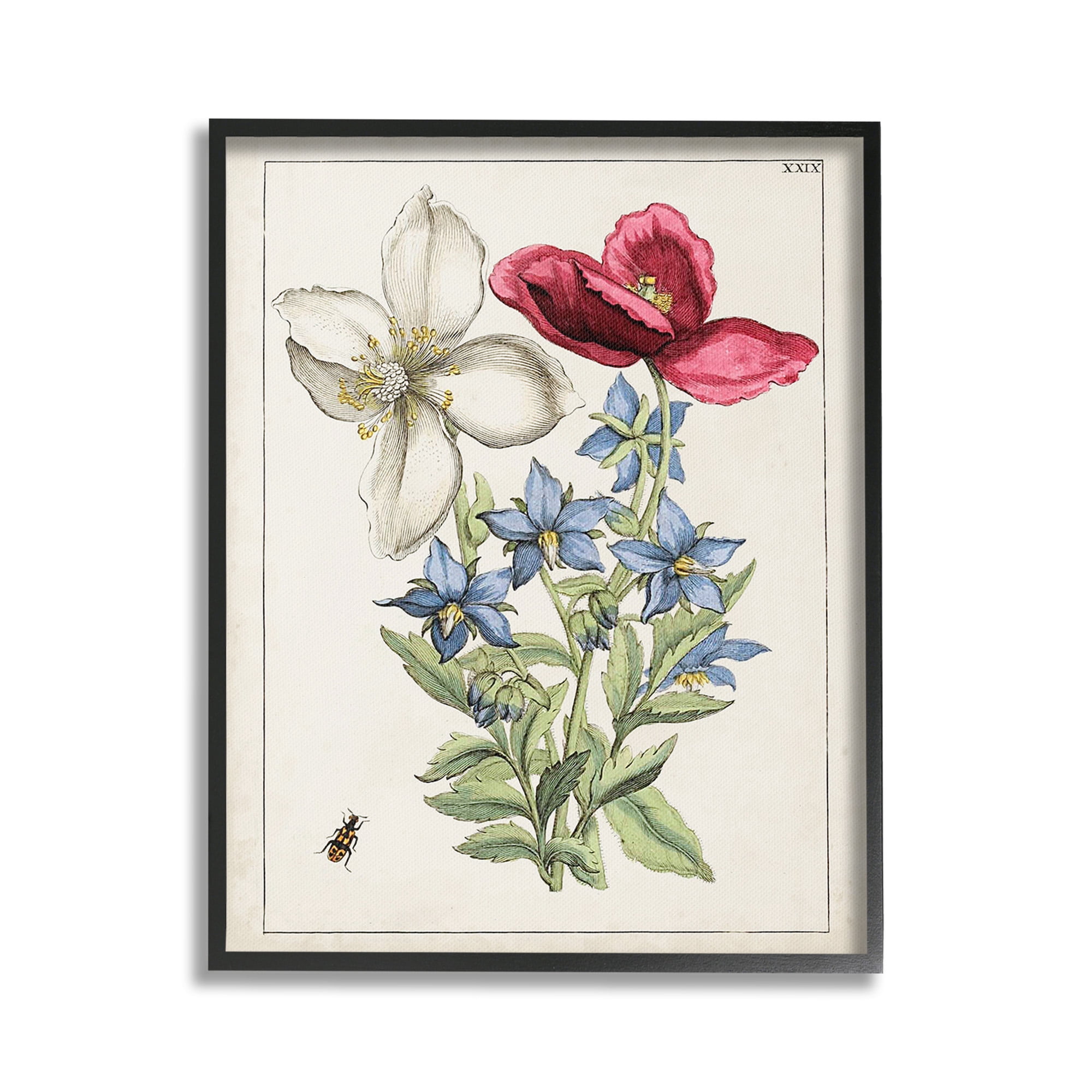 Stupell Industries Vintage Beetle & Flowers Botanical & Floral Painting Black Framed Art Print Wall Art, 16 x 20