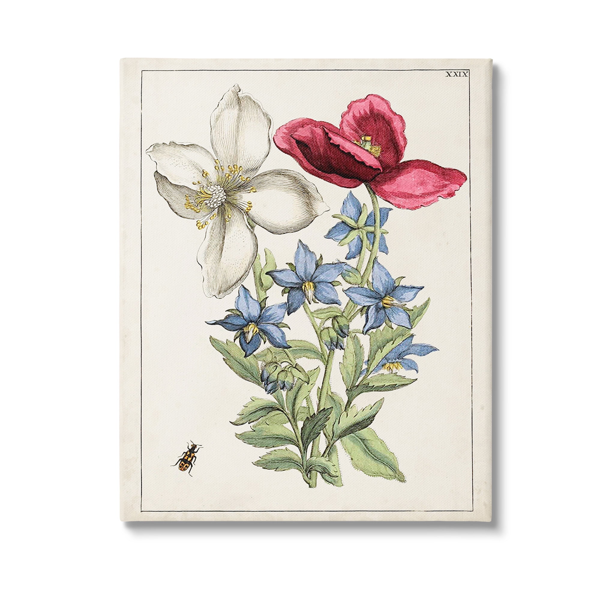 Stupell Industries Vintage Beetle & Flowers Botanical & Floral Painting Gallery Wrapped Canvas Art Print Wall Art, 30 x 40